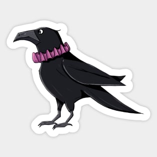 Crow with a funny necklace Sticker